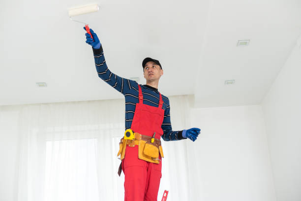 Best Post-Construction Mold Inspection  in Stillwater, OK